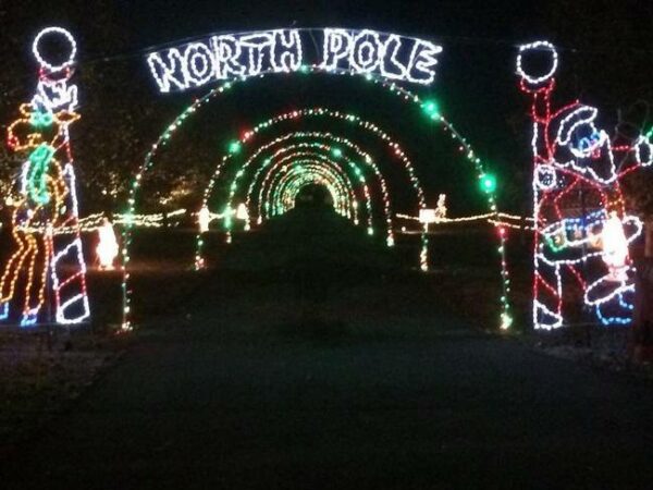 christmas, lights, show