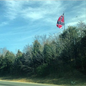Rebel flag, confederate flag, flag of the confederate states