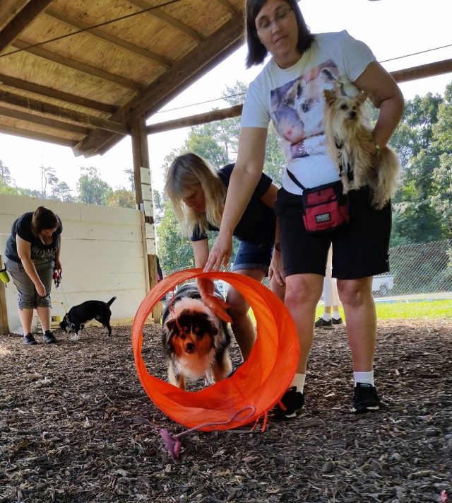 Prince William Animal Shelter will hold its annual open house on Sunday