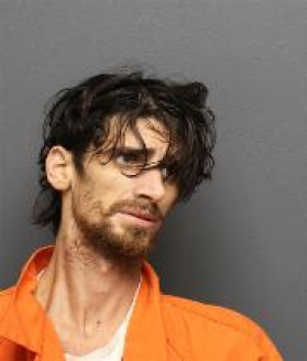 officers were justified in their use of deadly force against the accused during this encounter.