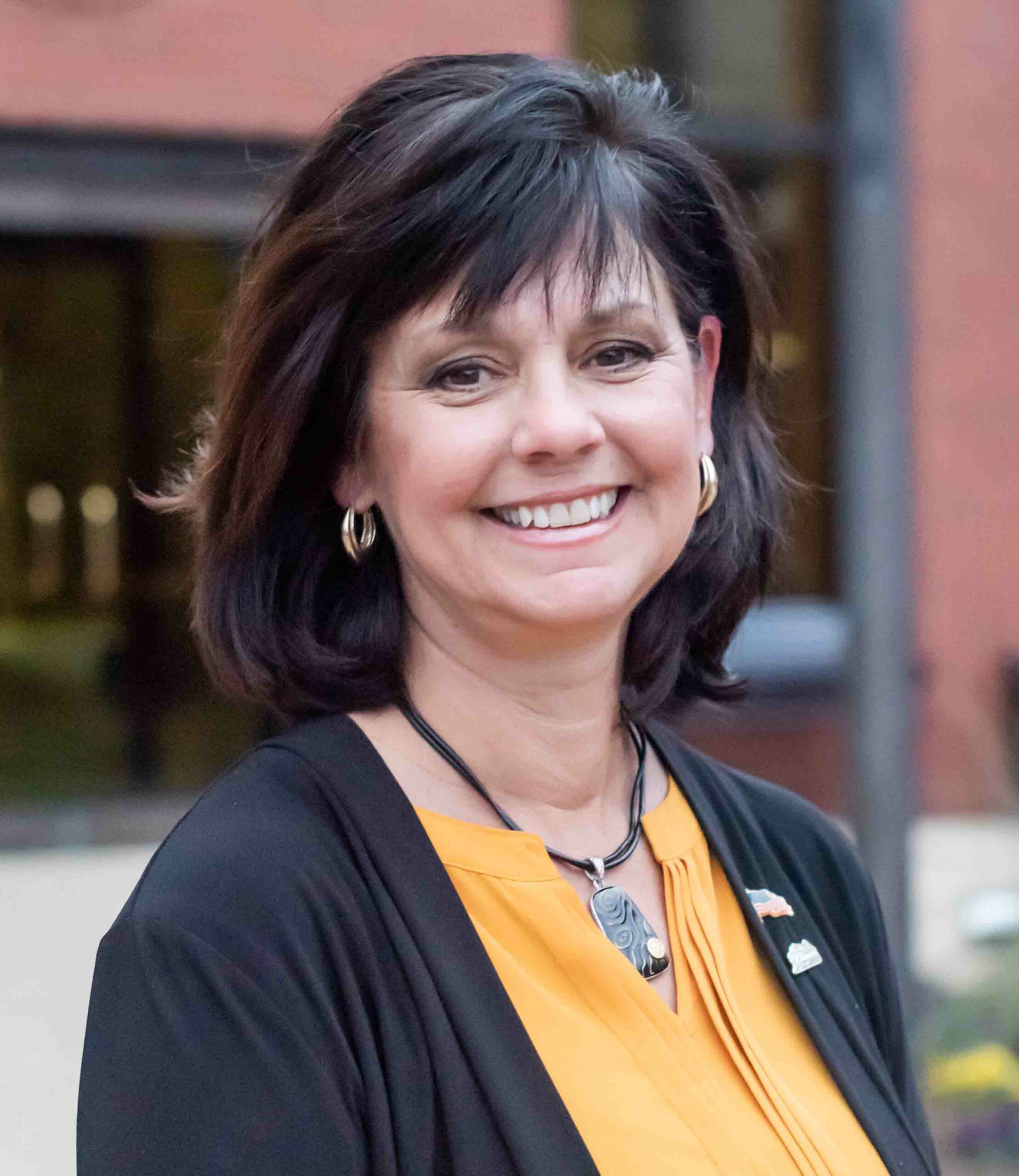 Coates Ellis says Manassas residents need lower tax rates, Route 28 bypass