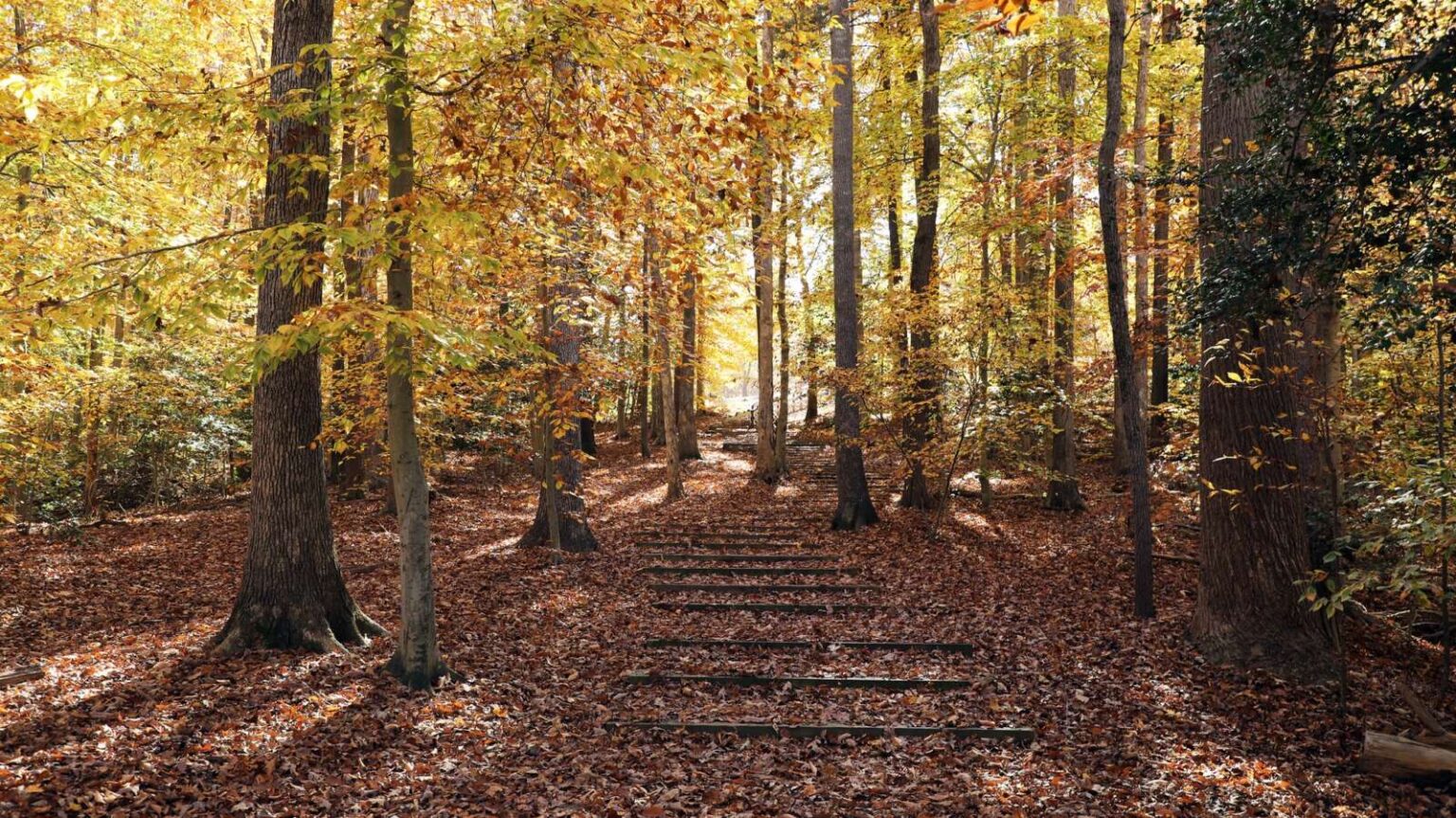 Annual State of Prince William parks report to be delivered at Kelly Center