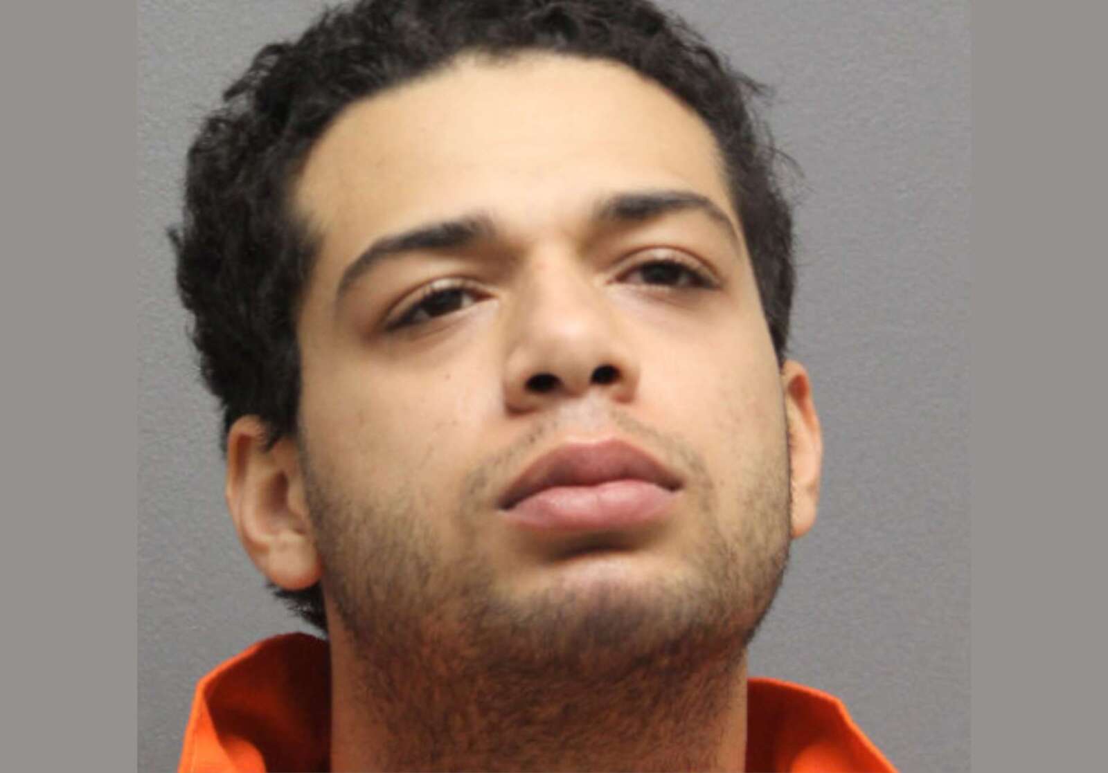 Man, 24, charged in stabbing death of mother