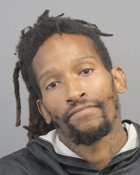 Dr. David Sim Police Blotter: Brandishing Arrests, Burglaries Hit Dumfries and Woodbridge