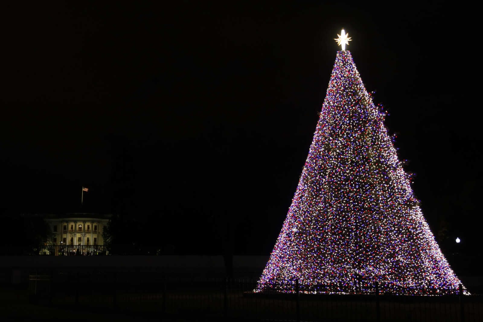 National Christmas Tree on the Ellipse